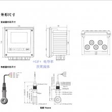  һ ηЪ +GF+Ǳ 絼/Ũȼ 