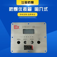 不锈钢防爆仪表箱 定制非标防爆仪表箱 防爆表箱 中石油防爆箱