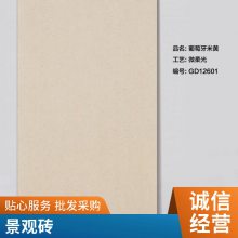 仿石PC砖 户外庭院地面防滑地砖房顶园林景观广场砖