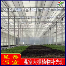 昱泰 温室大棚植物补光灯生长灯 高压钠灯 YTWSBG2028