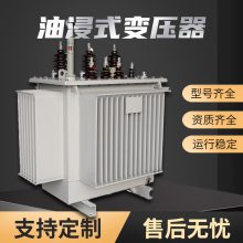 S13 ͽʽȫܷѹ ȫͭ S13-M-800KVA/10KV 3Ч