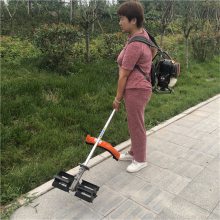 ײʽݻ ̩ʽ԰ݻ С