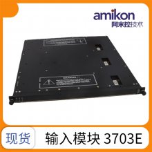 430***ģ TRICON ģ TMRϵ