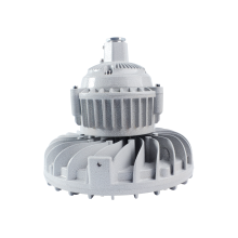LED202-50W