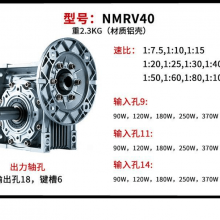 RV50NMRV63WPA120蜗杆减速机郑州迈传涡轮蜗杆减速机