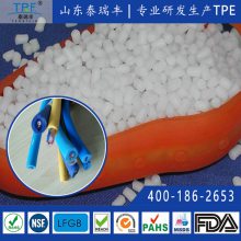 ·TPUȶ·ݾTPU