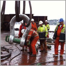 Green Pin Thrust Bearing EE SwivelתP-7740תͷ