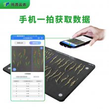 水稻整穗考种测量系统 TPDS-X-1 plus水稻整穗考种仪