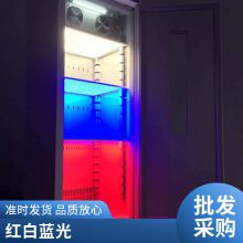 新励三基色低温冷光源光照培养箱 ZHG-800A-LED