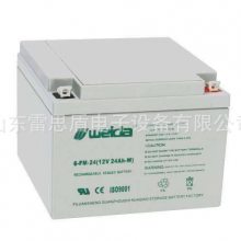 weida 6-GFM-38/12V38AH ֱ EPS  upsԴ