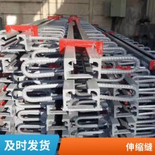 公路桥梁伸缩缝 E型C型F型Z型变形缝装置 来图定制