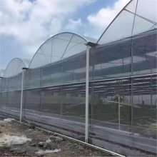 浙江温州温室连栋大棚厂家单体大棚 2022价格优惠