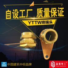նͷ YTTW4*150+1*95½ͷ ½ͷ