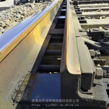标准轨距1435mm铁路道岔直线尖轨曲线尖轨