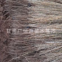 ½ 5000һ Բ 