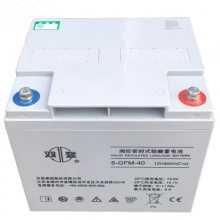 ˫ 6-GFM-40 12V40AH UPS/EPS ֱ ϵԴ