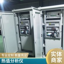 防爆型抽取式红外综合气体分析仪多参数检测WX-3000Ex 沃信仪器