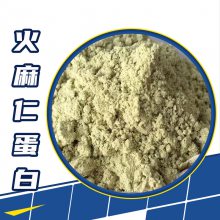 火麻仁蛋白食品级 粉末状火麻仁提取物 高含量