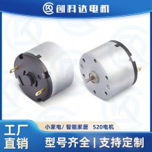 R520ɱ ϵͳ綯 ֱѹ6v