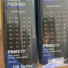 FBM217˹FOXBORO