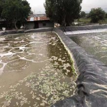 白银市养猪场污水池防水黑膜生产厂家、天水市养牛场化粪池黑膜包工包料