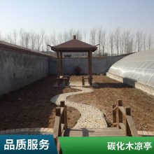 景观防腐木凉亭 无异味适用于别墅花园景观碳化木亭子