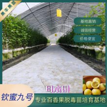 糡Ѷ޽Ǥ۾źŻƽ