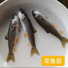 ô ˮ硿 泡ֱ