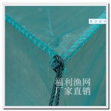 1.5cmֳг۸