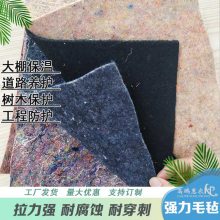 宁陵县混凝土养护毡厂提供温室阳光板大棚的建造成本
