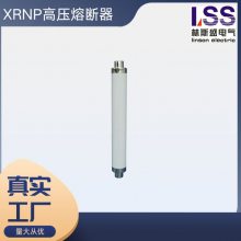 ѹ۶XRNP1-7.2KV/12KV-0.5A 1A 2A 3.15A