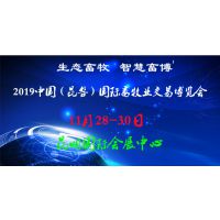 2019йҵײ