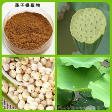 莲子提取物 10:1 莲子粉 沃特莱斯 大量 ***