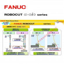 2023FANUC˿ ǿ˿ г˿-C800iC ˿