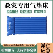 救灾专用气垫床气柱型带枕头充气睡垫防潮气垫加宽加厚TPU气垫床