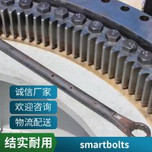 ĸ ˨ smartbolts ݴ˿ñ