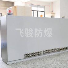 飞骏定制 粉尘防爆电气控制柜 正压型防爆配电柜防爆控制柜