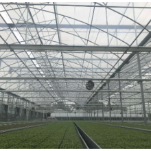 绵阳专业生产温室大棚灌溉 来电咨询 绵阳兴隆科技供应