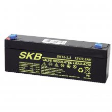 ¹SKBSK12-5.2 12V5.2AH UPSԴ