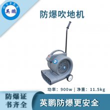 Ӣػ-900WEXP1-10YP-0.9CD