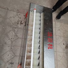 全自动洗蛋机小型商用毛刷鸡蛋鸭蛋清洗机蛋品清洗机器洗蛋器