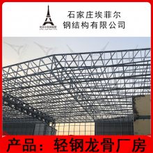 轻钢龙骨厂房 镀铝锌轻钢结构 家装工程建筑材料 埃菲尔