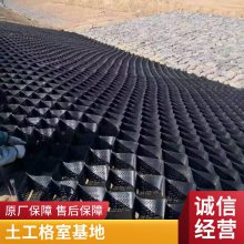 蜂巢土工格室厂家 HDPE聚乙烯护坡土工格 拉伸格室植草绿化