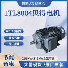 δ õ1TL8004-IE4ϵжЧ