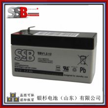 ¹SSBSBLV40-12i ϵͳ12V-40AhǦ