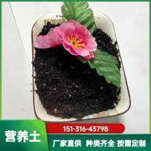 供应 房顶花园 菜园种植用有机营养土 绿化腐殖土