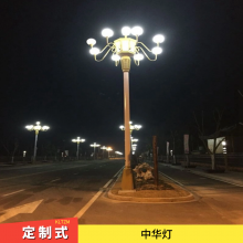 聊城中华灯厂 LED景观玉兰灯 应用广泛 道路广场园林桥梁