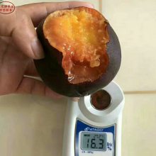 Ʒ