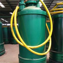 可以长期潜入水中工作污水泵 耐腐蚀污水泵 BQW200-400-13-30污水泵