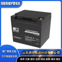 ƻ6-GFM-120-YT12V120AHUPS豸άԴ